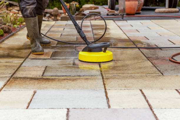 Best Animal Enclosure Cleaning  in Level Green, PA
